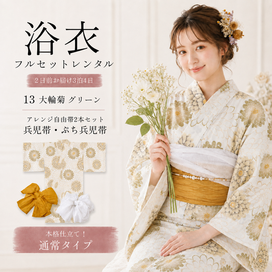 通常タイプ 13