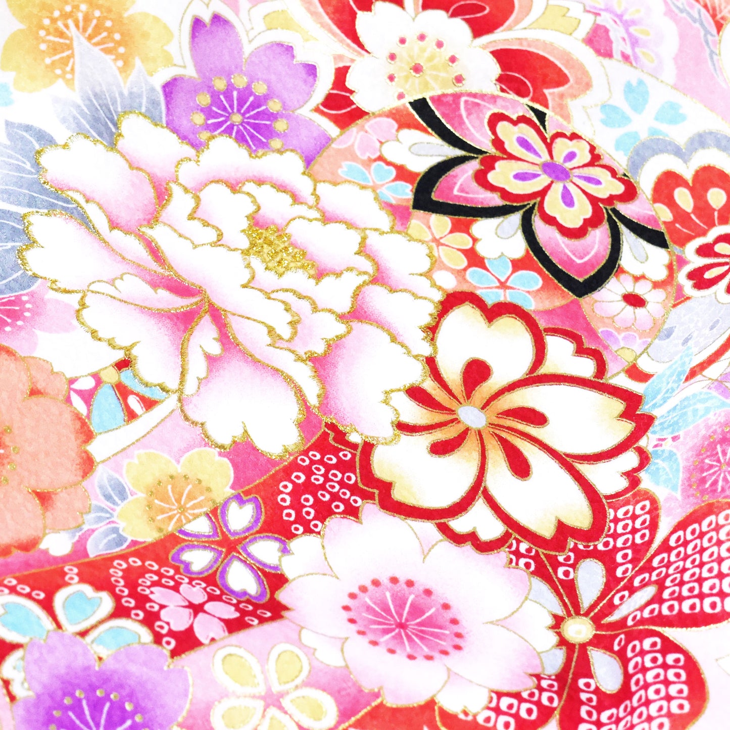 /ubugi/b1am0061000-2.jpg